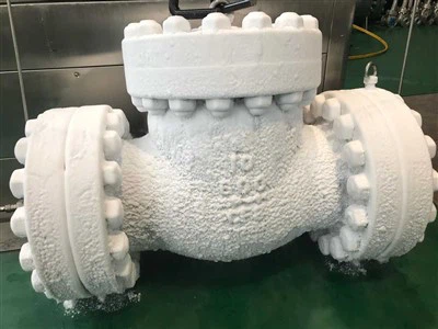 Cryogene terugslagklep